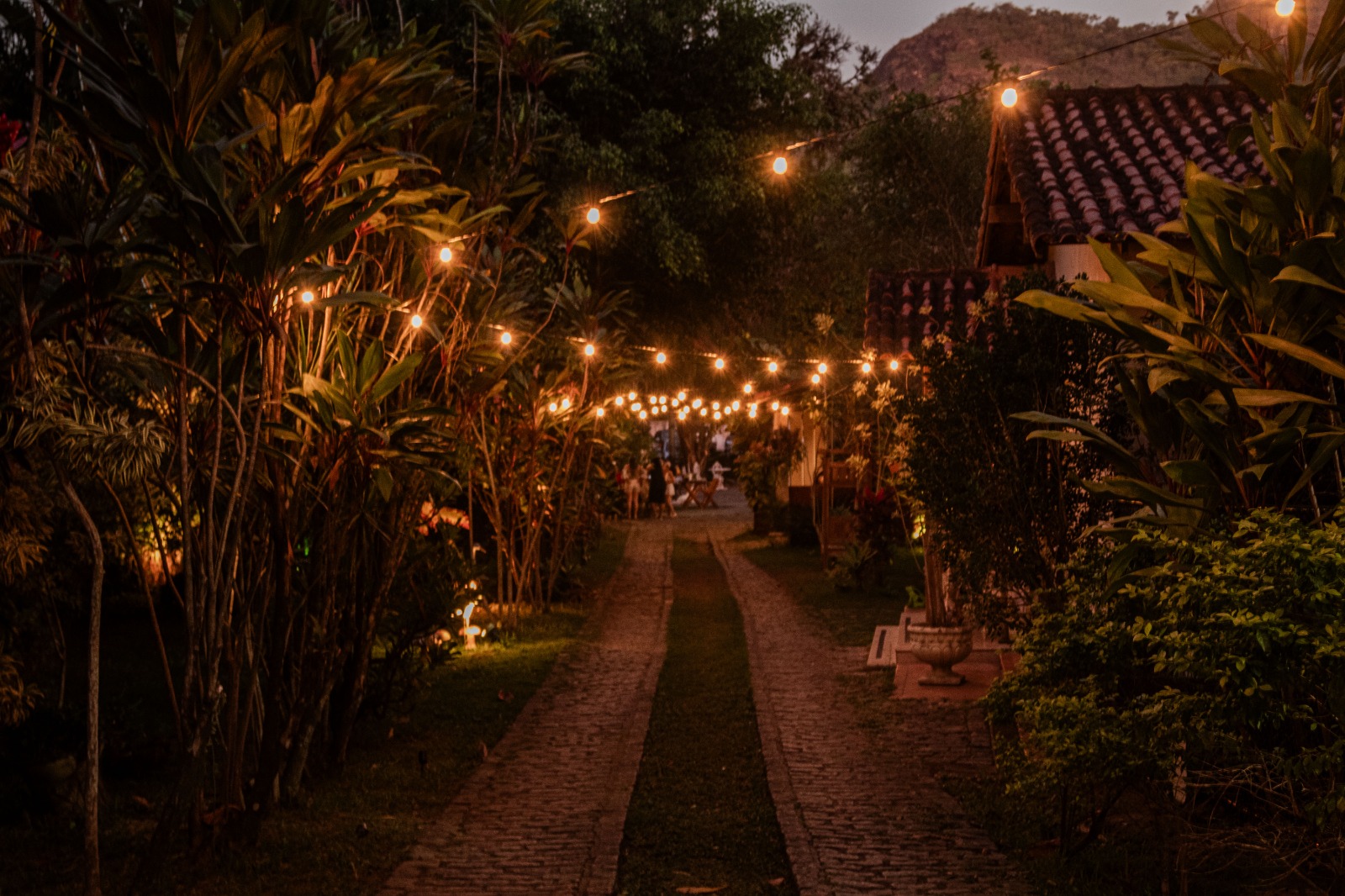 Jardim com luzes